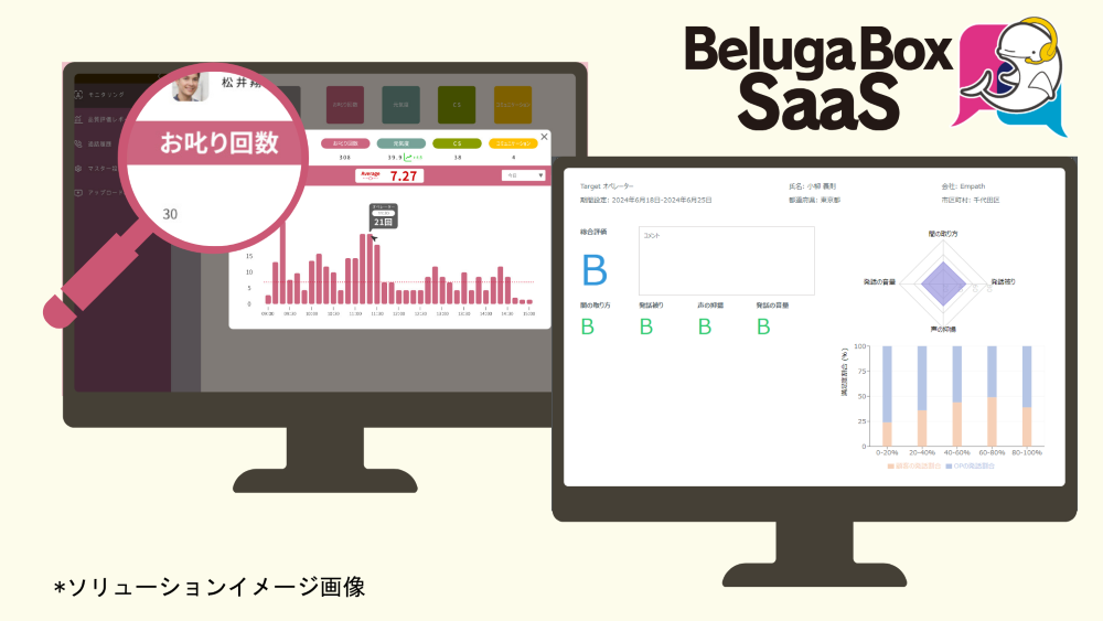 beluga-box service.png
